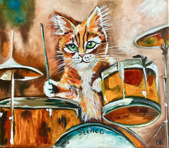 Cat plays drums