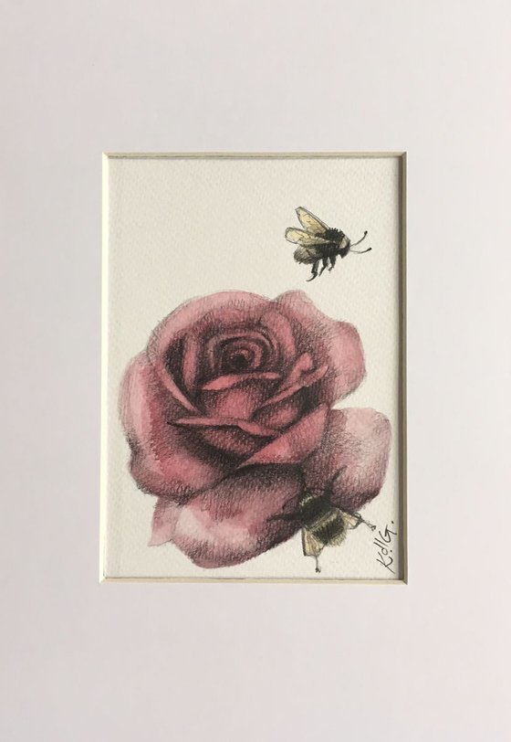 Pink rose and bees