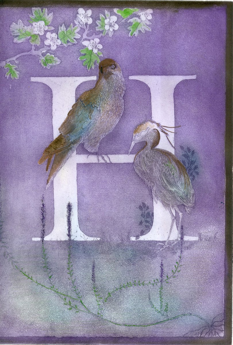 Illustrative Animal Etchings & Engravings By Jane Daniell, 9 X 12, H, Original Artwork