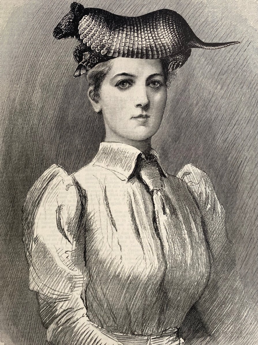 Surrealistic Portrait Collage By Tudor Evans, 7 X 9", Memory Of Her Armadillo, Original Artwork