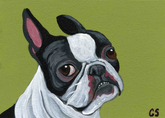 ACEO ATC Original Miniature Painting Boston Terrier Pet Dog Art-Carla Smale