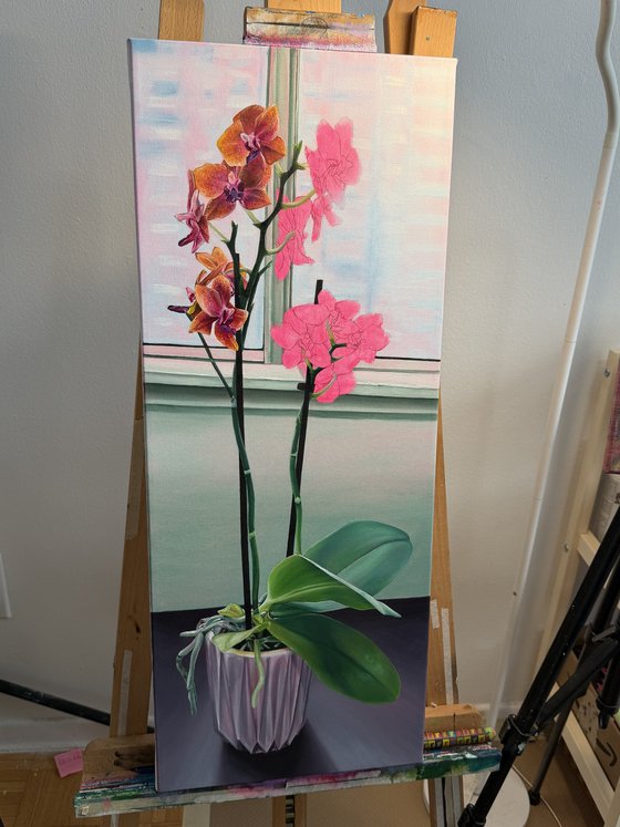 Orchid