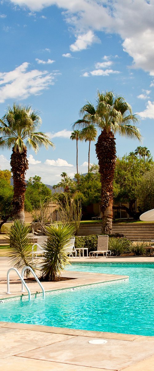 SANDPIPER POOL Palm Desert by William Dey