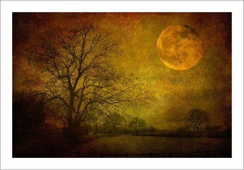 Dark moon rising by Martin  Fry