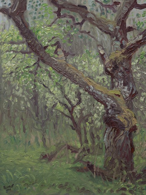 Wild Orchard I by Wojciech Pater