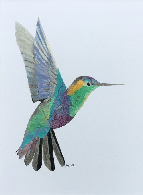 Humming bird by Abigail Long
