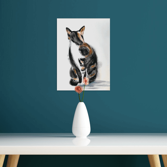 Black White Orange Cat