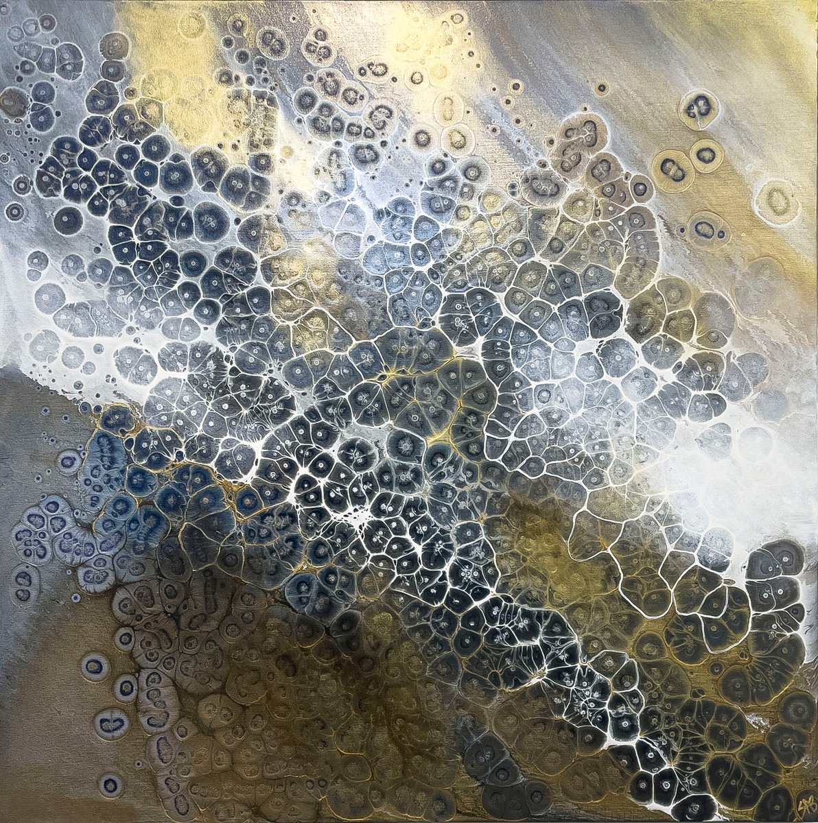 Organic Abstract Acrylic Painting By Shaylen Broughton, 48 X 48", Alchemy, Original Artwork