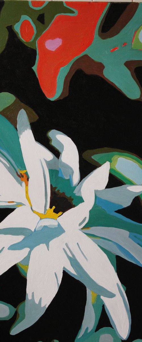 Brillant White Daisy by Emma Cownie