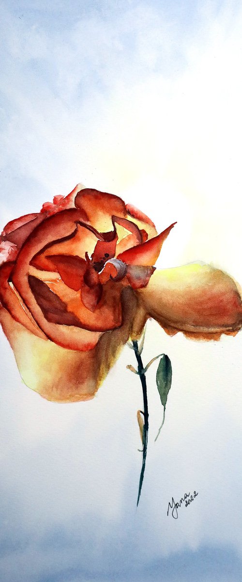 Red Rose in Watercolor - Original Art by Yana Shvets