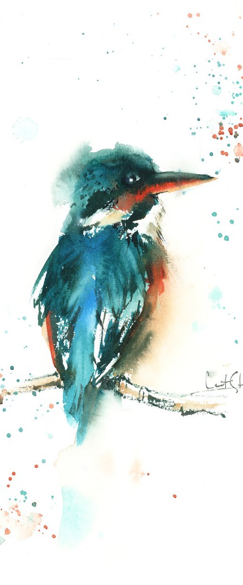 Kingfisher by Sophie Rodionov