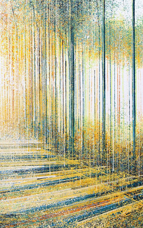 Warm Afternoon Light Through Trees by Marc Todd