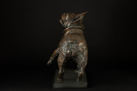 French Bulldog Lifting Paw FB