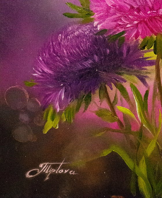 Purple and pink Flowers. aster flowers.