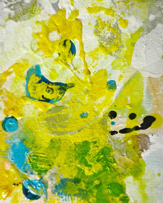 Tender Springlight N°4