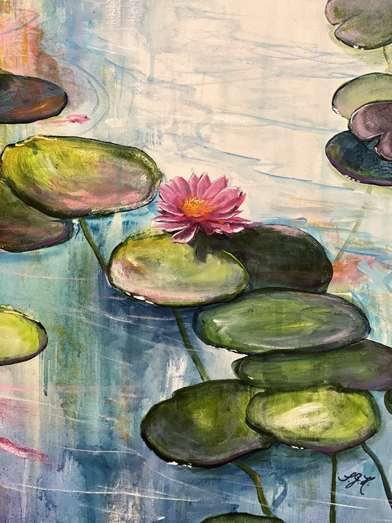 Water Lilies 5