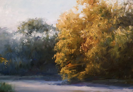 "Rays of Peace"