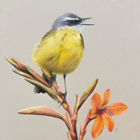 Original pastel drawing "Yellow wagtail"