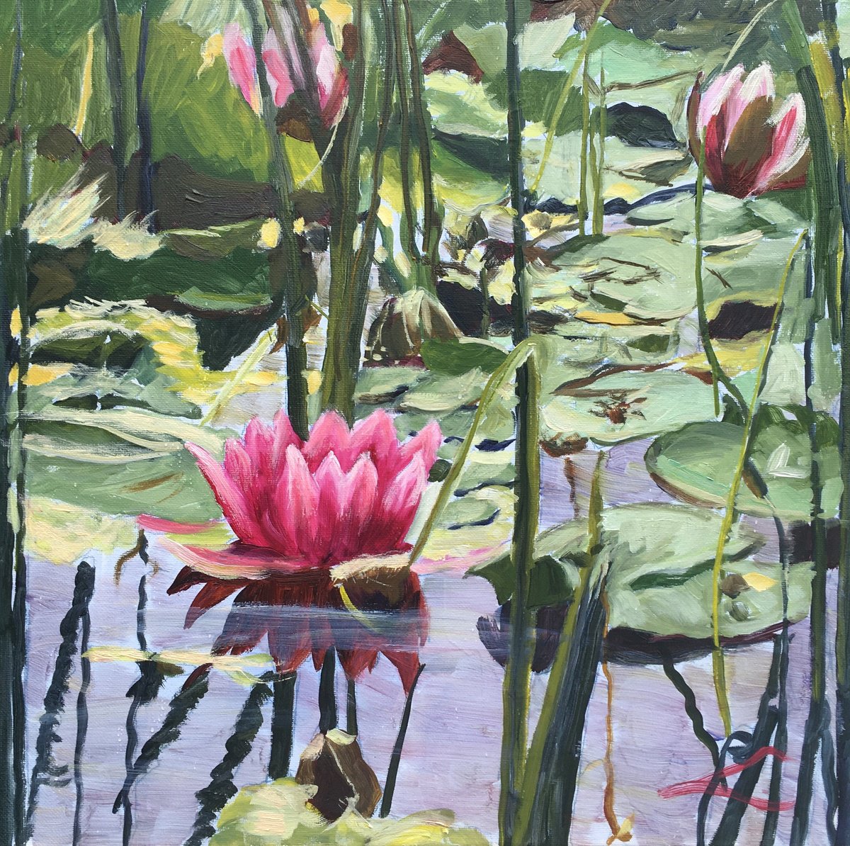 Impressionistic Botanical Oil Painting By Elena Sokolova, 15 X 15, Waterlilies 7, Original Artwork