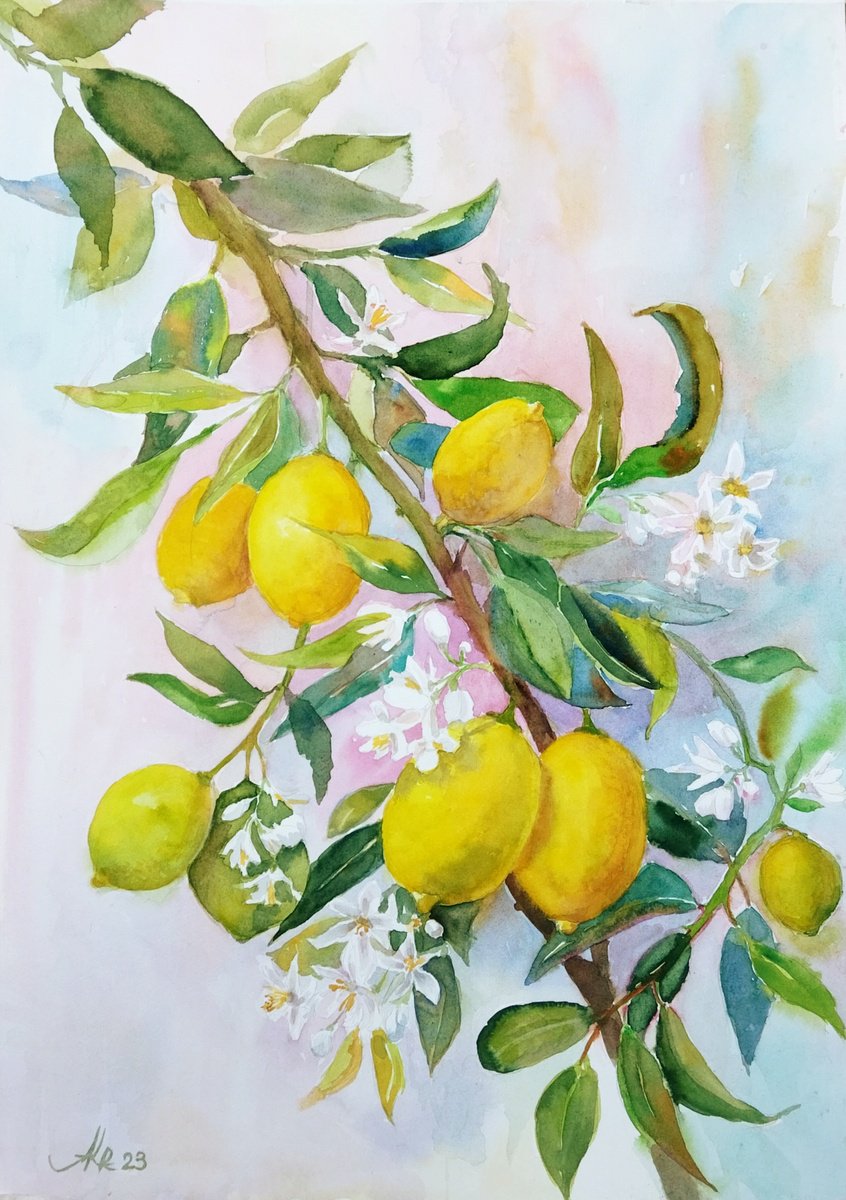 Lemon tree branch by Ann Krasikova