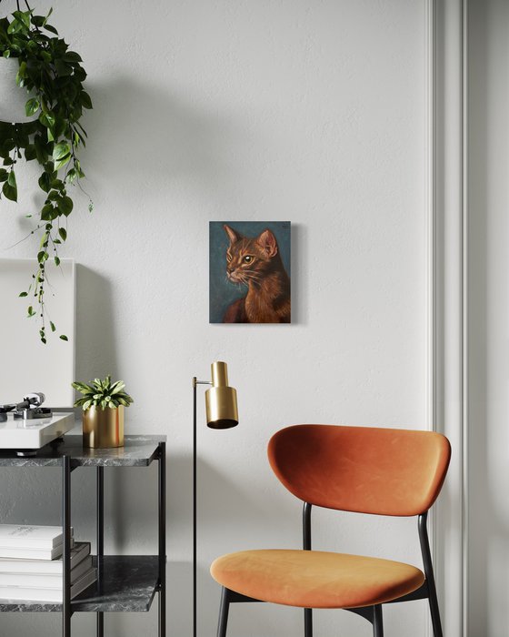 Blue Abyssinian Cat