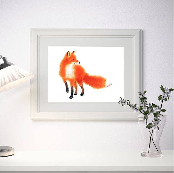 A Very Busy Fox – Red Fox – Fox in winter
