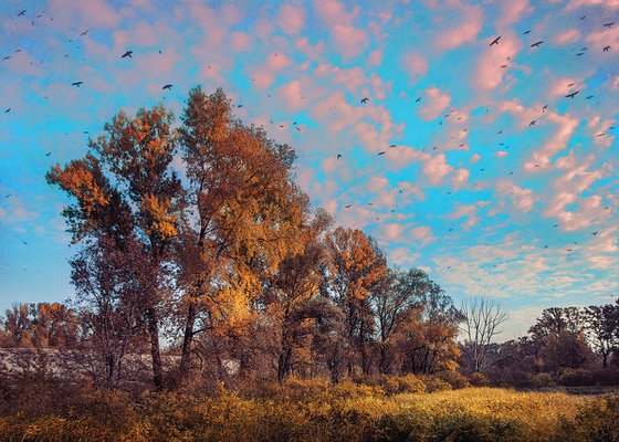 Autumn under vanilla sky.