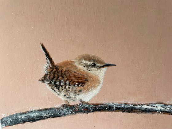 Jenny Wren II