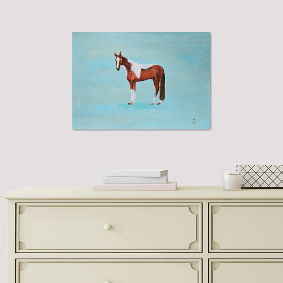 Pinto skewbald horse on blue