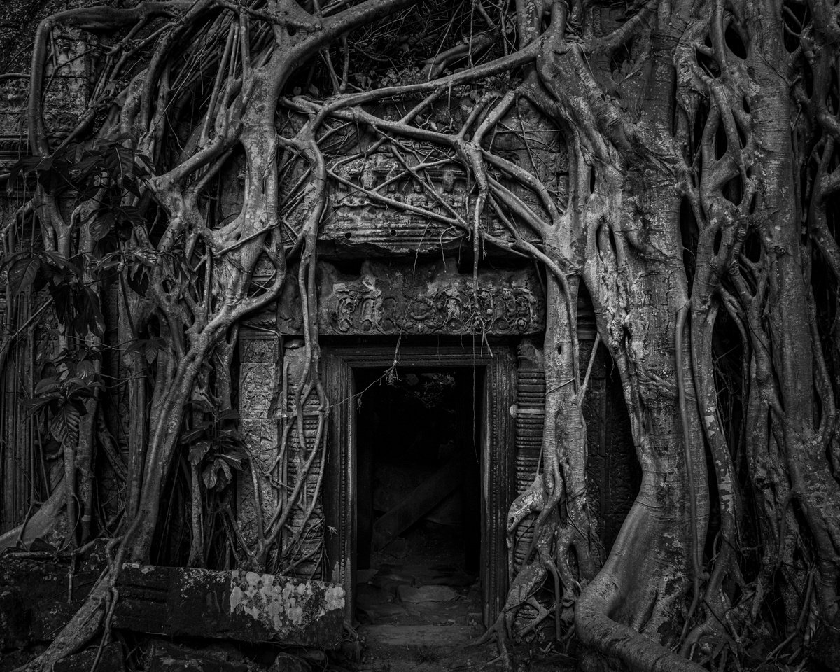 Organic Cityscapes Photograph By Serge Horta, 15 X 12", Angkor Series No.4 (B&W), Original Artwork