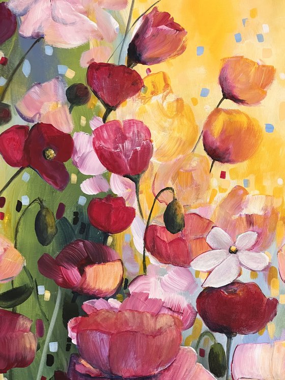 Poppies Land 3