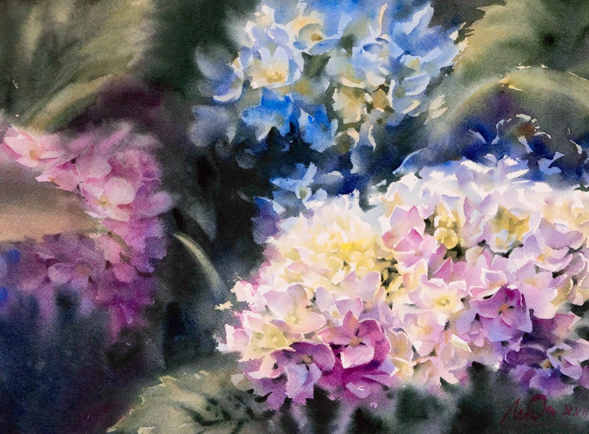 Impressionistic Botanical Watercolour By Lida Duchnewitsch, 20 X 12", Hydrangea Palette, Original Artwork
