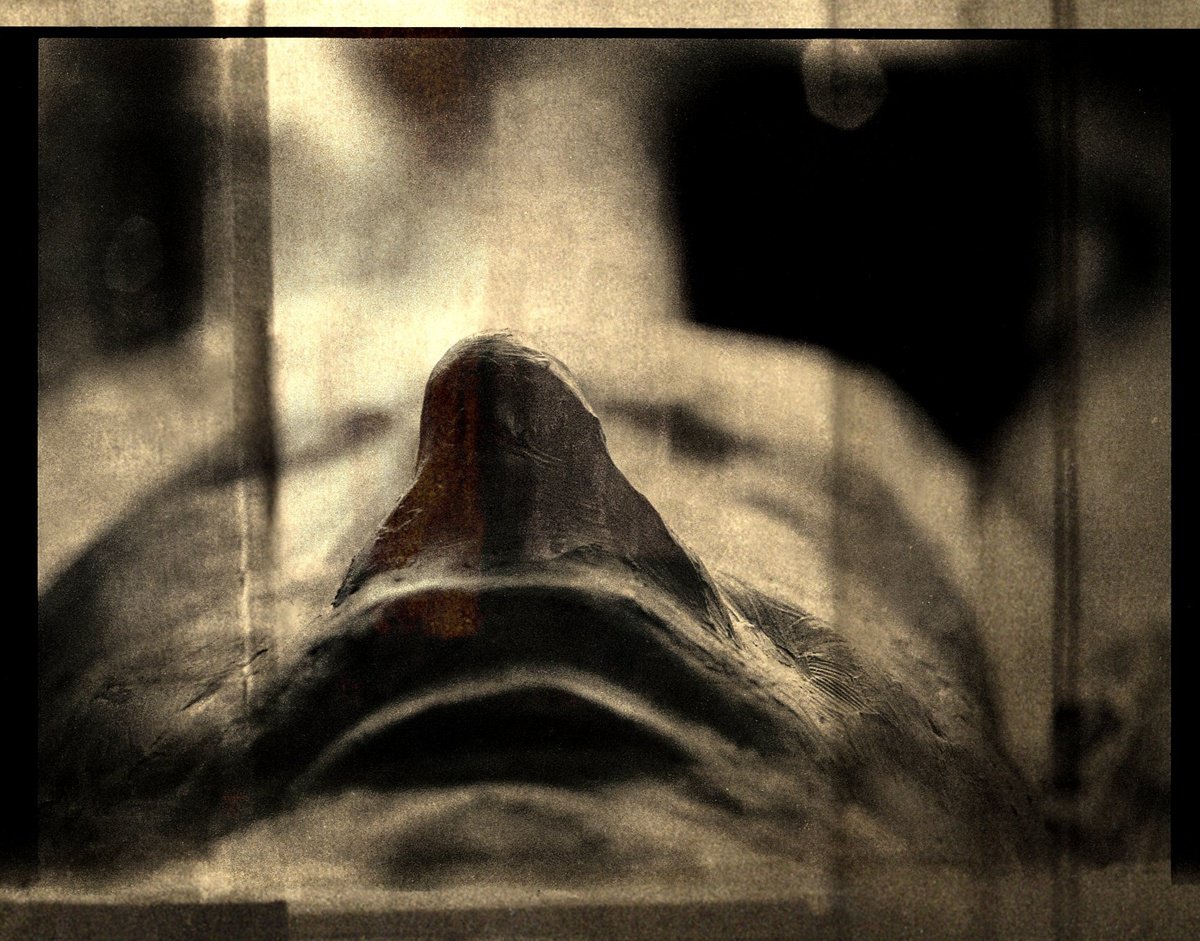 1966-20..? by Philippe berthier