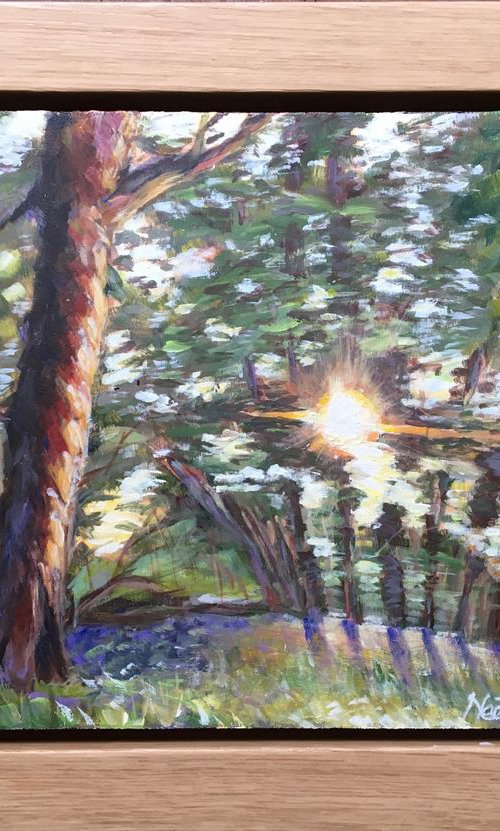 Sunlight through woods by Neeta Popat Kataria