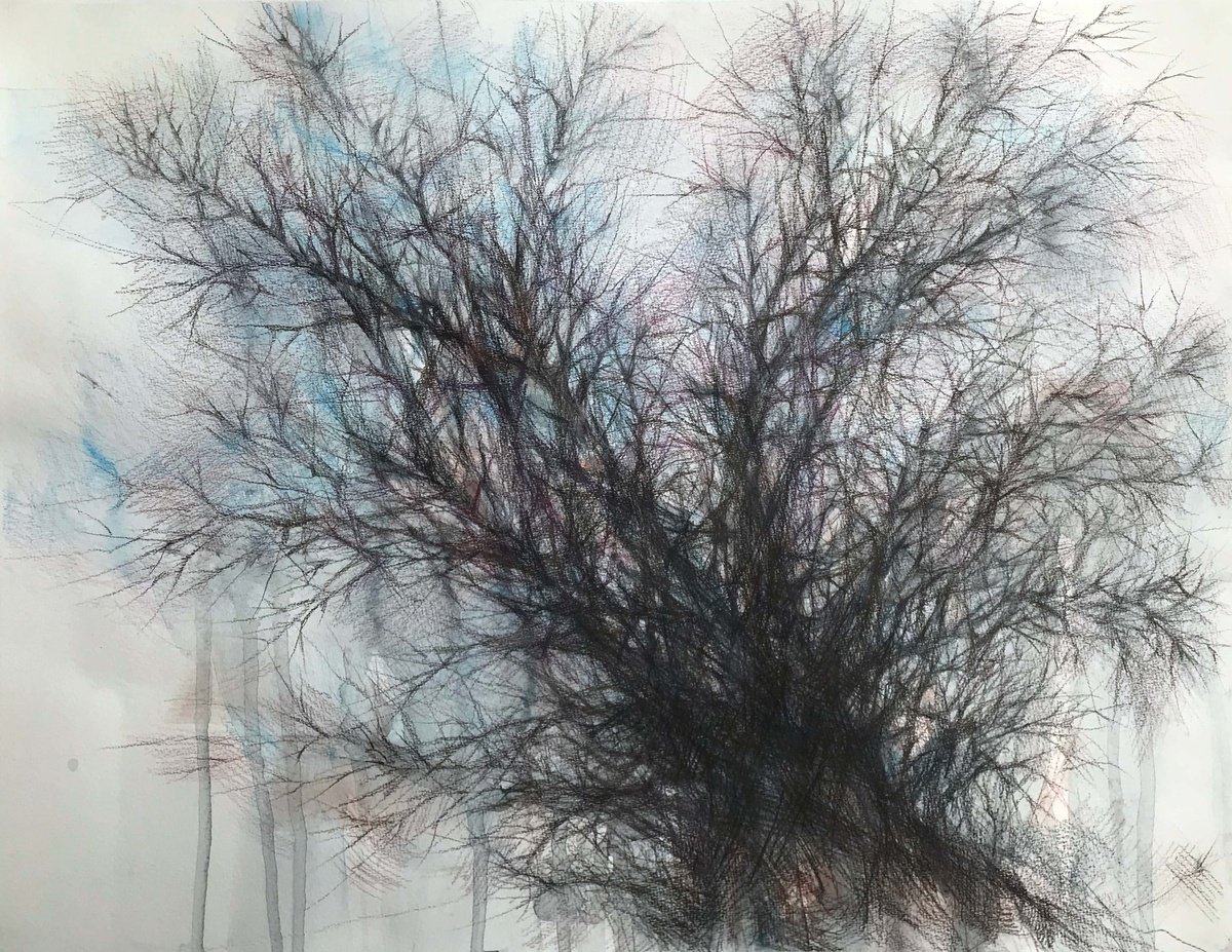 Impressionistic Botanical Watercolour By Galina Poloz, 26 X 20, Old Winter Tree., Original Artwork