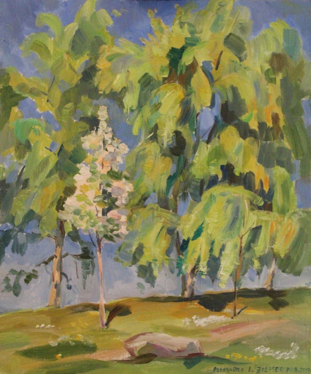 poplars trees france by Alexandra L. ZELTSER