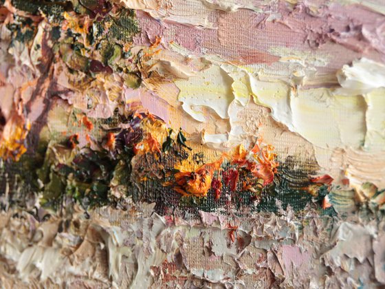 Evening Wildflower Field