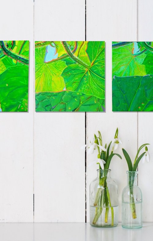 Cucumber Leafs Triptych by Amani Muhammad