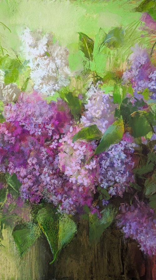 Lilacs 2`25 by Silja Salmistu