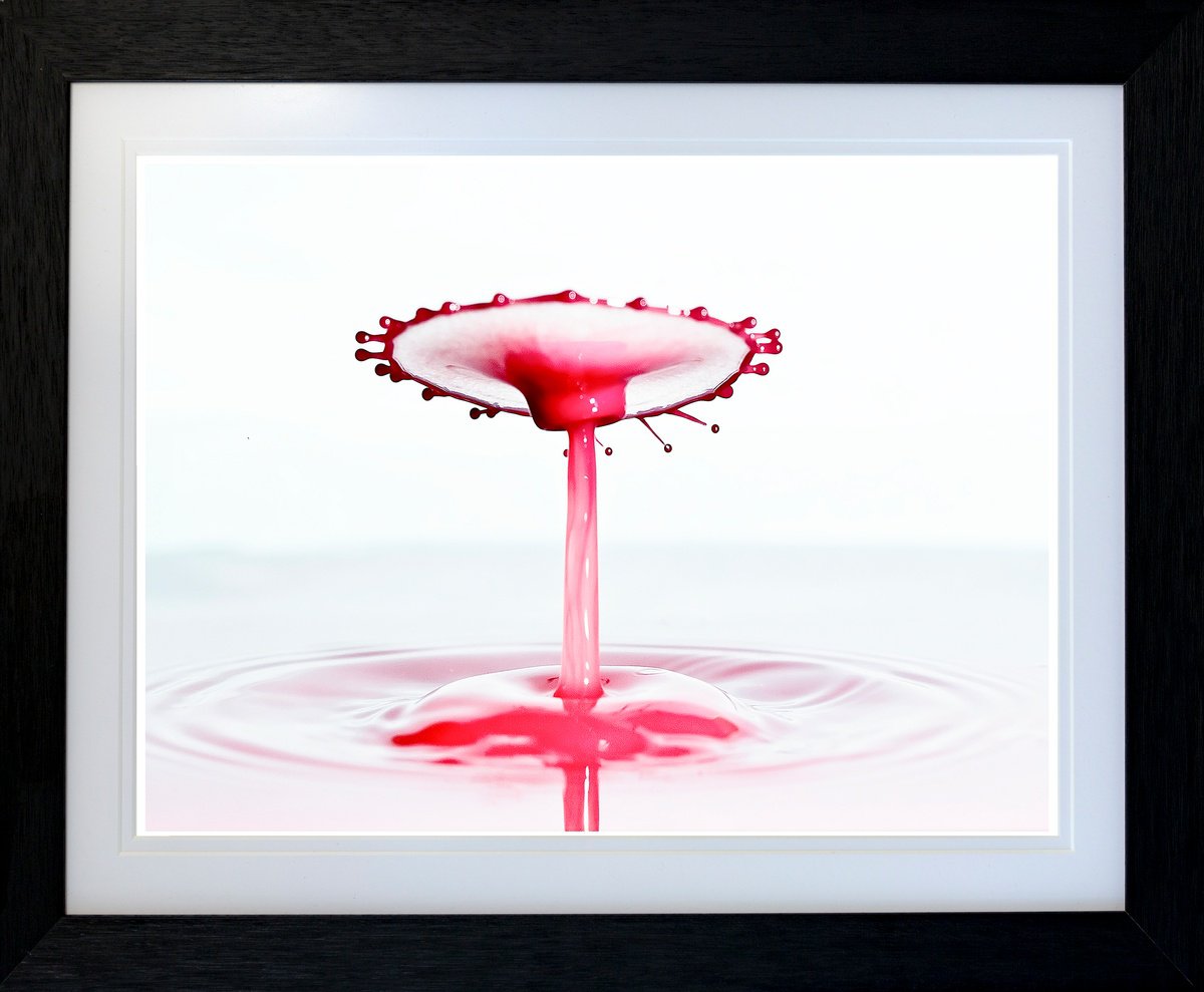 Abstract Photograph ,