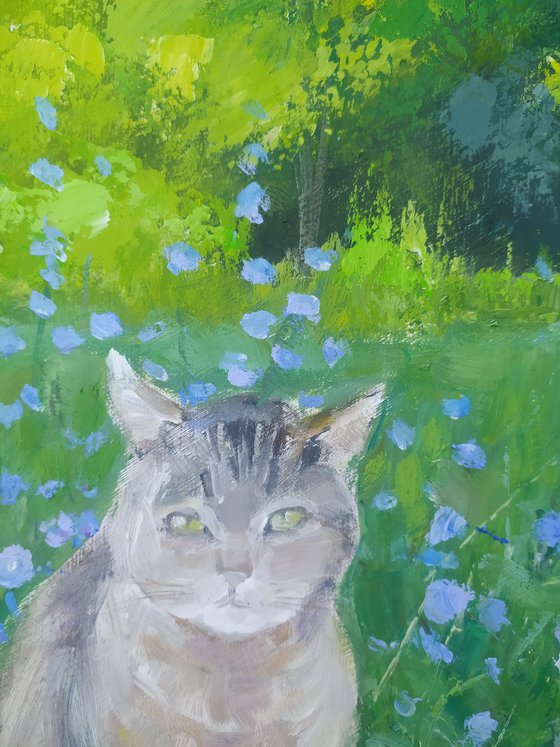 Сat in the grass