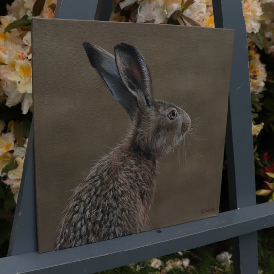 Portrait of a Hare II