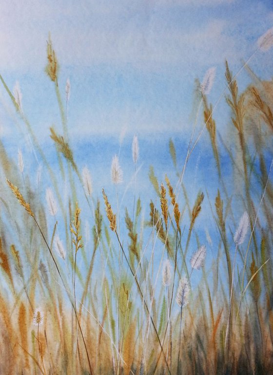 Dry Grass#2