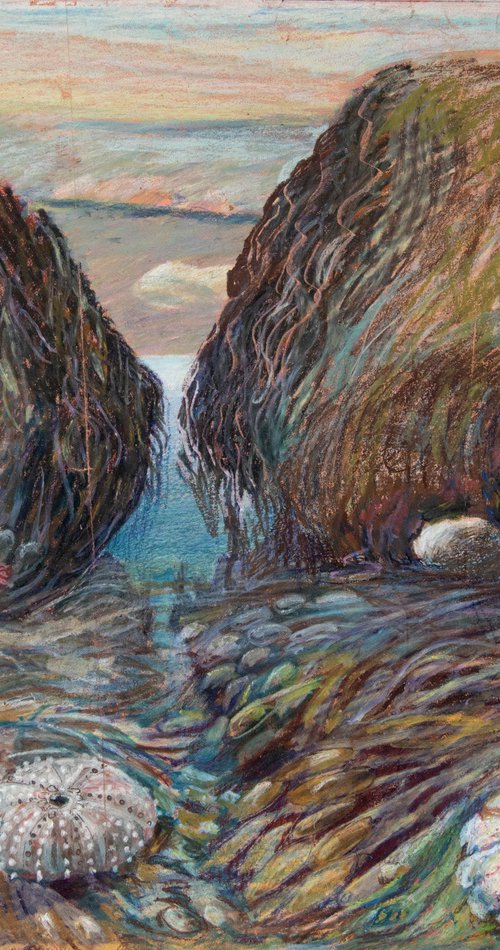 Rock Pools by Elizabeth Anne Fox