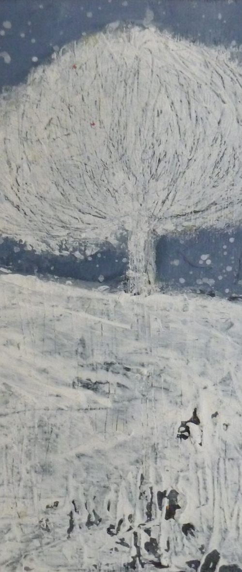 Snowflake by Fiona Philipps