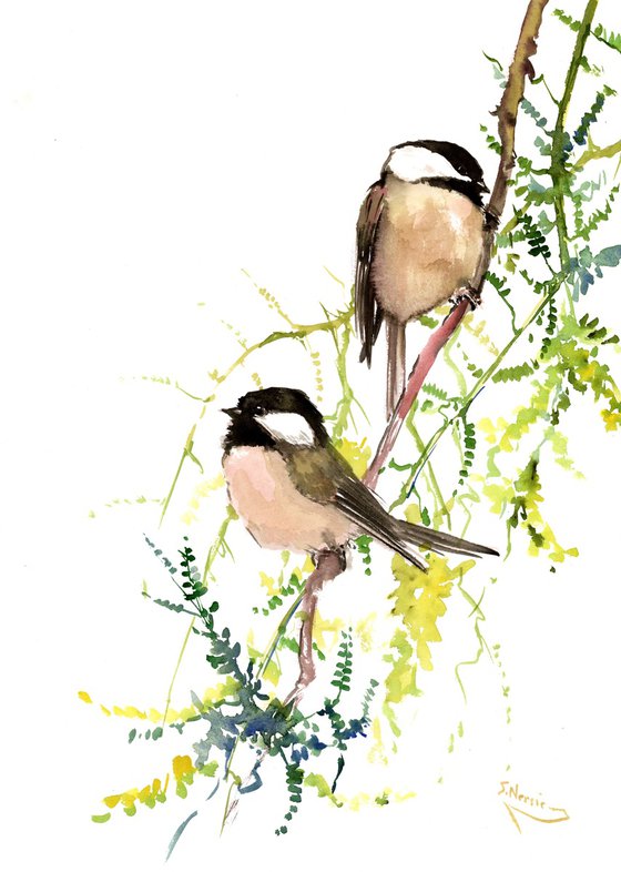 chickadees on the tree