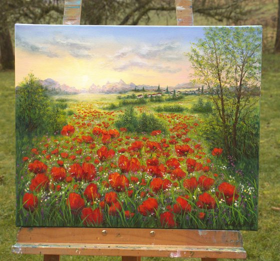 Sunrise on the poppy field