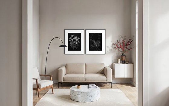 Tulips, Black and white flowers