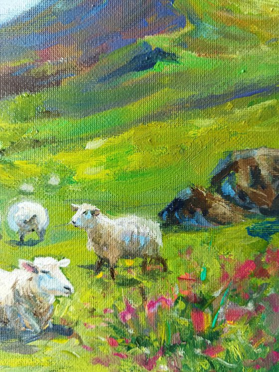 Pastoral Serenity with sheep
