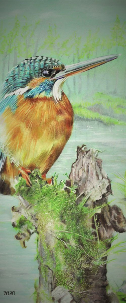 Kingfisher 2 by Hendrik Hermans